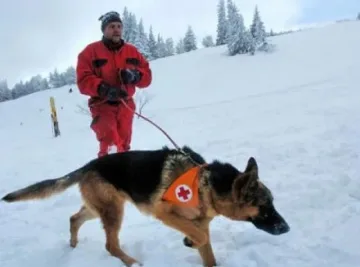 Продължава издирването на мъжа в района на връх Ботев
