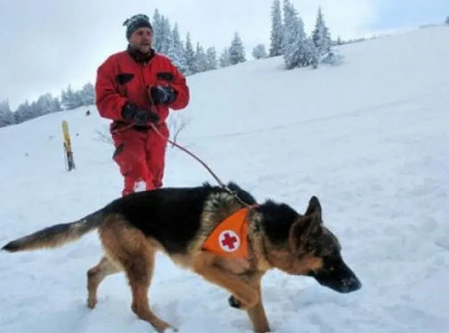 Продължава издирването на мъжа в района на връх Ботев
