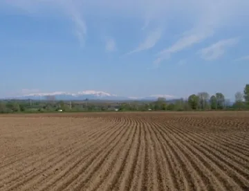 Земеделците избират данъците си за 2015 г.
