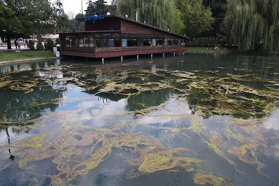 Пускат на търг езерото "Ариана"