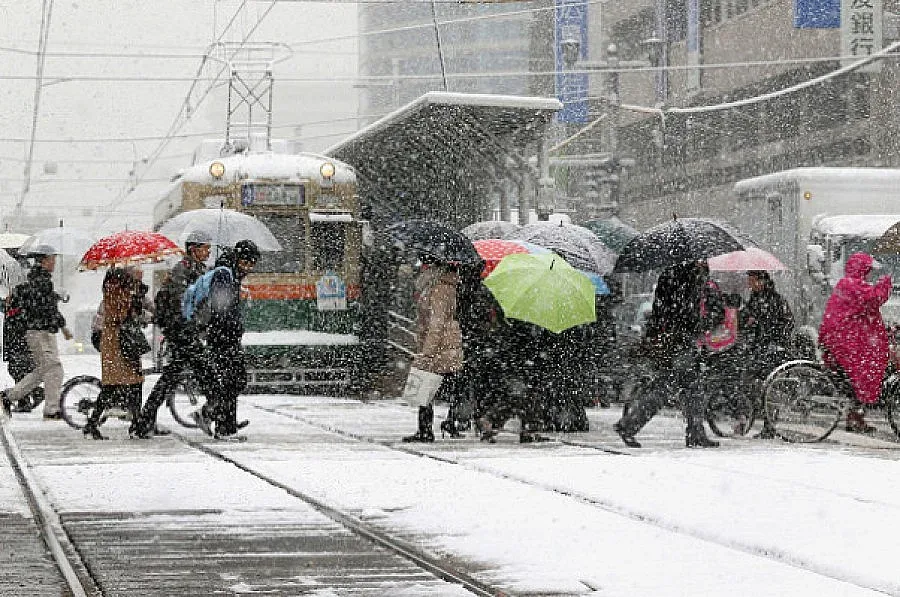 Снежната буря в Япония взе пет жертви