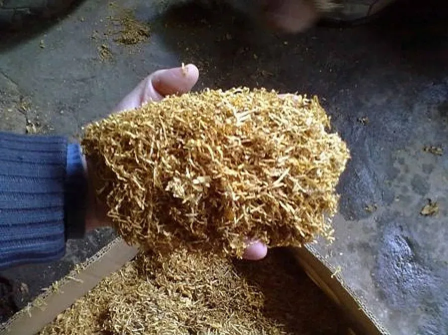 Фирми ударно изкупуват тютюна