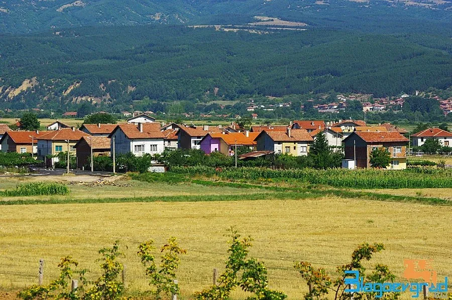 Разследват сигнал за изнасилено момиче