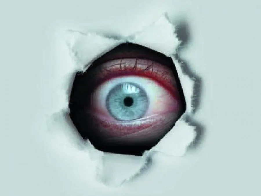 Големият брат ви наблюдава