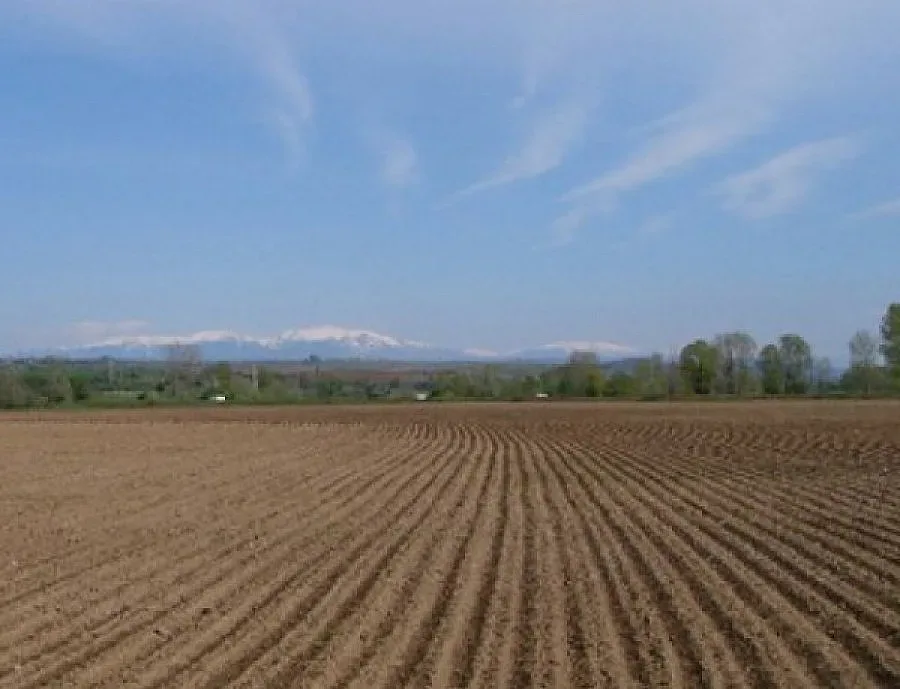 Фонд "Земеделие" изплати 71,2 млн. за развитие на селските райони