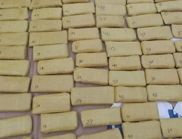 Унищожиха 266 кг. наркотици, задържани при спецакция