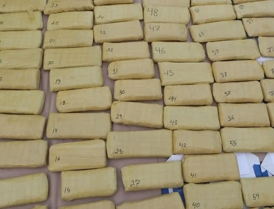 Унищожиха 266 кг. наркотици, задържани при спецакция