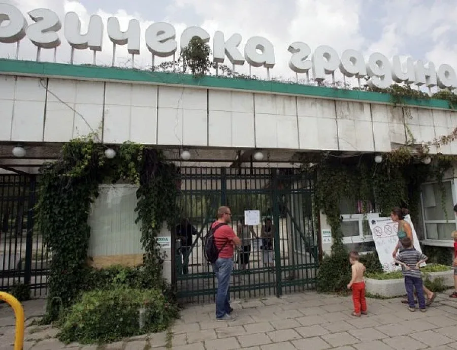 Хипопотам почина в столичния зоопарк