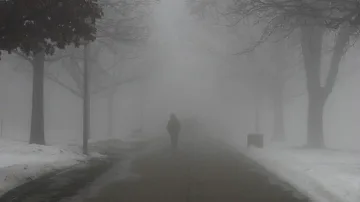 Мъглива неделя