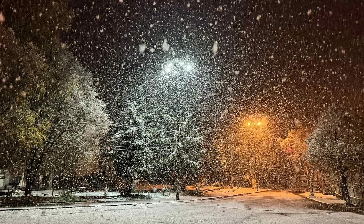 Части от България осъмнаха със сняг. В София успя да натрупа (ВИДЕО)