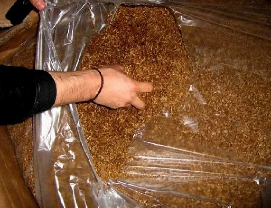 Хиляди тютюнджии блокират пътя за Доспат заради ниски изкупни цени