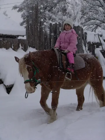 Туристи сменят Банско с Бачево заради езда на коне