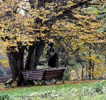 Почти слънчев петък