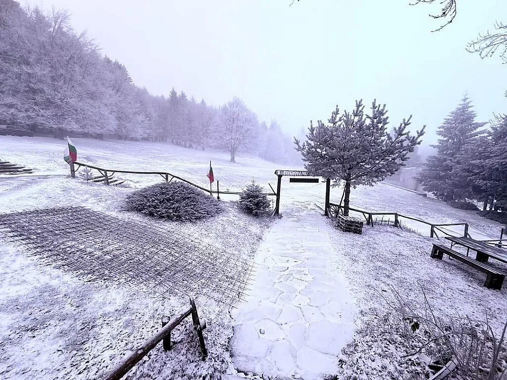 Снегът побърка децата! Драматични реакции