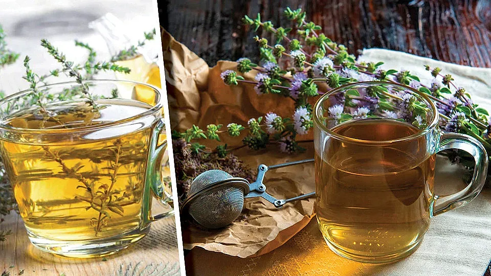 5 билки за здрав имунитет