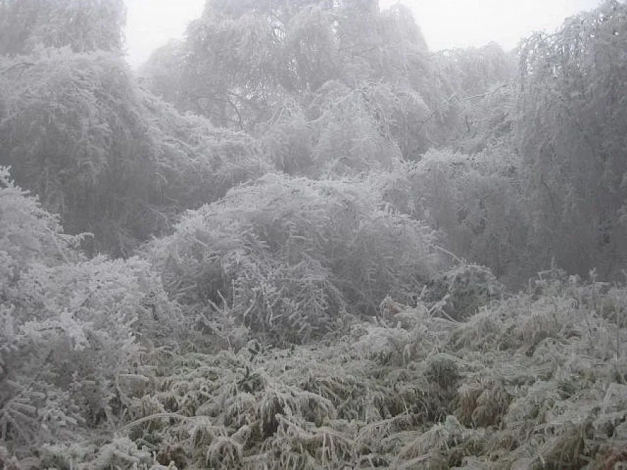 В Белоградчик прокарват нови електропроводи, старите падат един по един