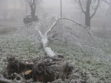 Животът във Видинско се нормализира