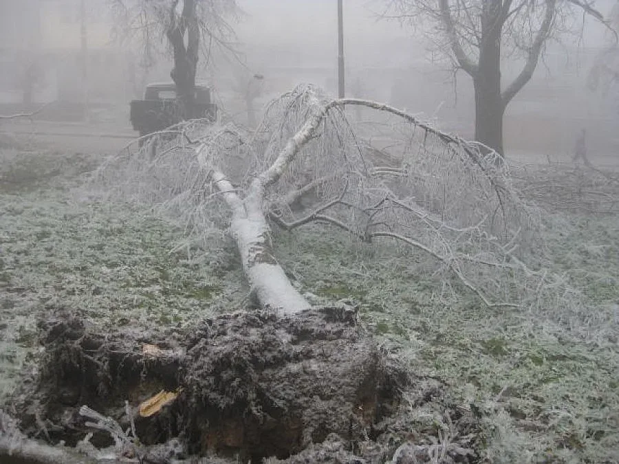 Животът във Видинско се нормализира