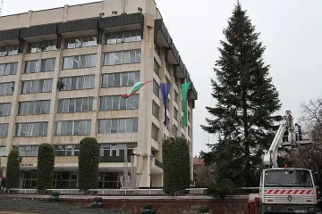 17-метрова елха ще грейне в Стара Загора