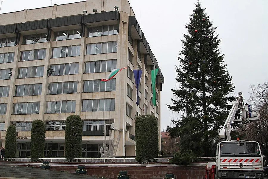 17-метрова елха ще грейне в Стара Загора