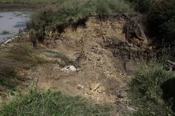 Евакуираха 30 души от ромски квартал в Ямбол