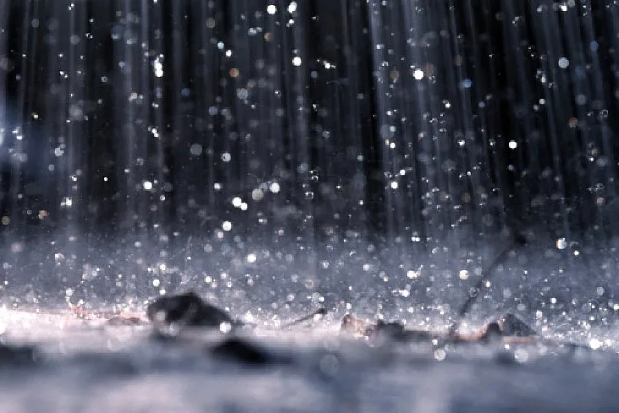 39 огнеборци и спасители участваха спасяваха Кърджалийско след проливния дъжд