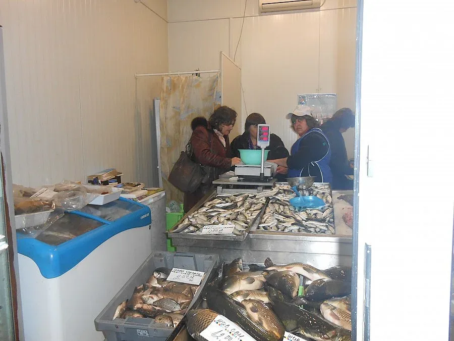 Варненци на опашка за див шаран