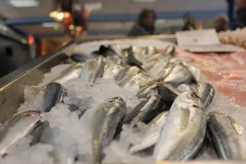 БАБХ и ИАРА проверяват обектите за продажба на риба в цялата страна