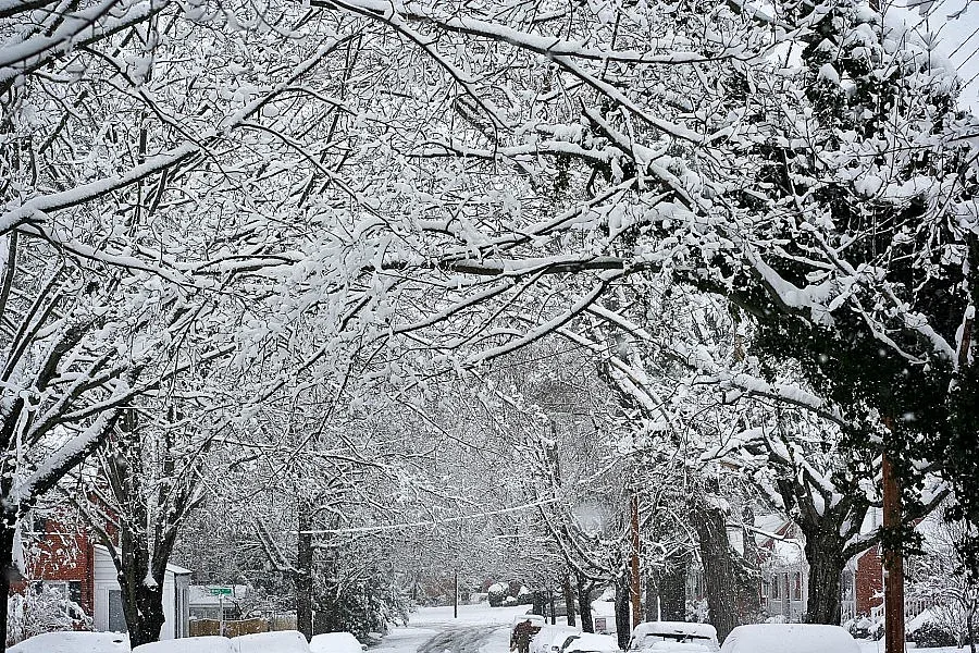 Студът взе 8 жертви в Полша