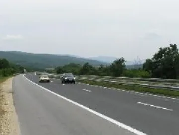 Изкореняват 130 ореха край пътя за Македония 