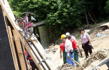 Щетите в "Аспарухово" са почти изцяло възстановени