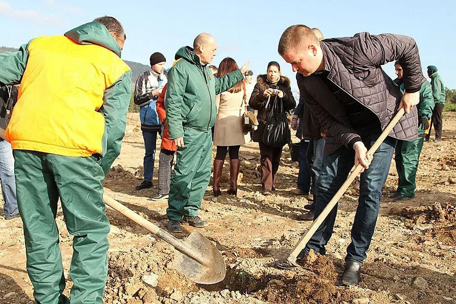 Възстановяват парк „Борова гора“, съсипан от незаконни постройки
