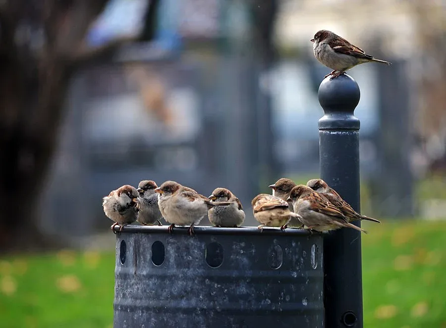 Още по-студено в сряда