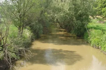 Русенски Лом заля дворове в с. Красен