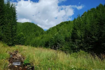 Сливен вади за продан гори и евросанаториум