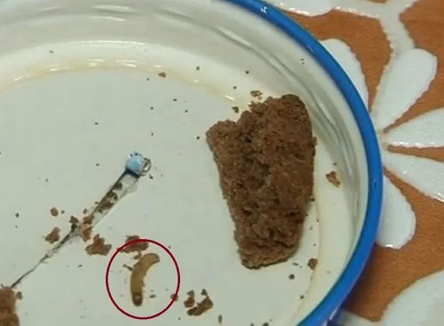 Червеи пъплят в пакет бисквити, купени в Пловдив