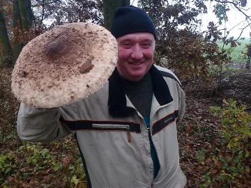 Семейство преяде с  гъба гигант