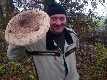 Семейство вечеря с гъба - гигант