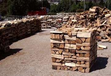 Данъчни написаха 4 акта на 5 борси за дърва за огрев