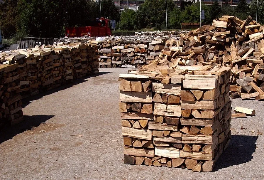 Данъчни написаха 4 акта на 5 борси за дърва за огрев