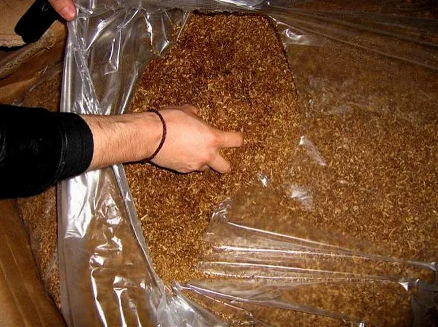 Тютюнджии от Пиринско тръгват на гурбет