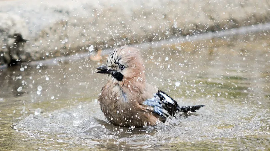 Облаци и дъжд в четвъртък 