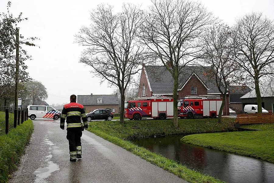 ЕК приема мерки срещу птичия грип в Холандия