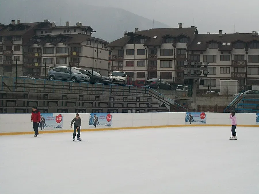 Искат само родни гидове да показват атракциите ни