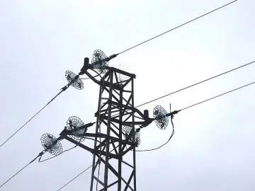 Eнерегийна компания помага на природозащитници