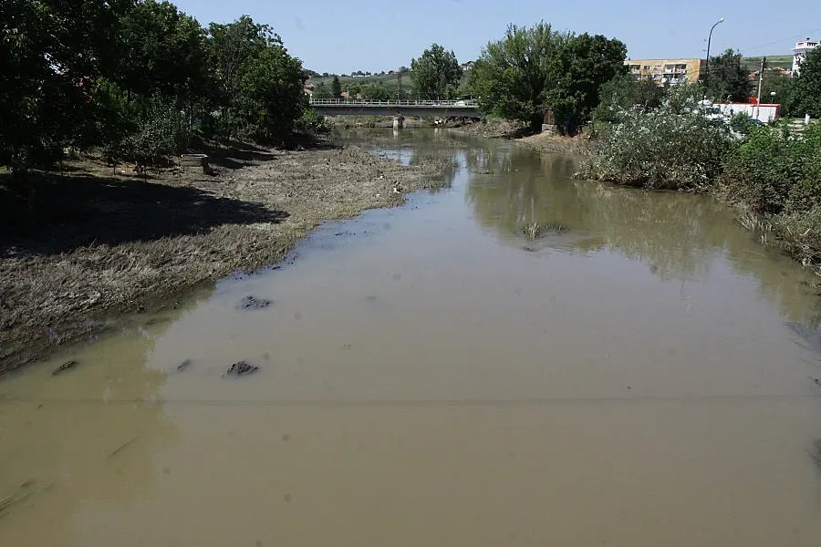 Граждански клуб подема дарителска акция за Мизия