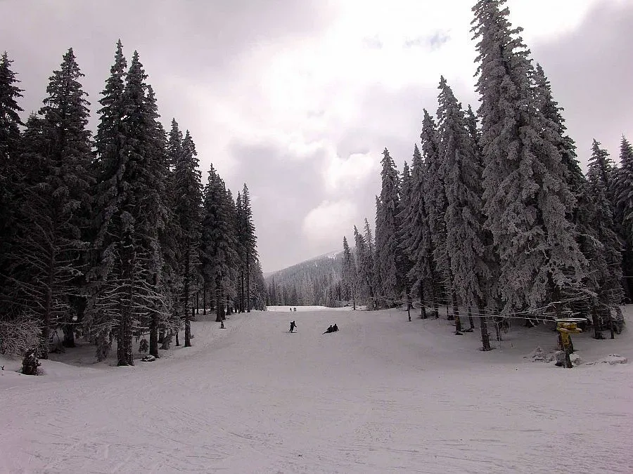 Ремонтират пътя от Берковица до хижа „Ком"