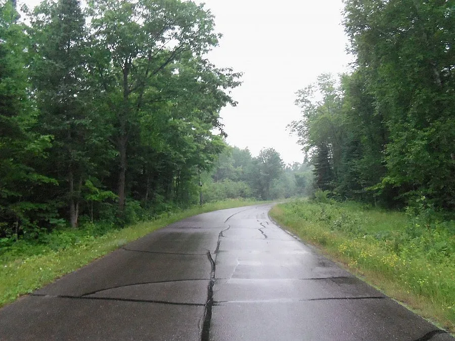 Опасни клони на пътя разбунтувуха кметове