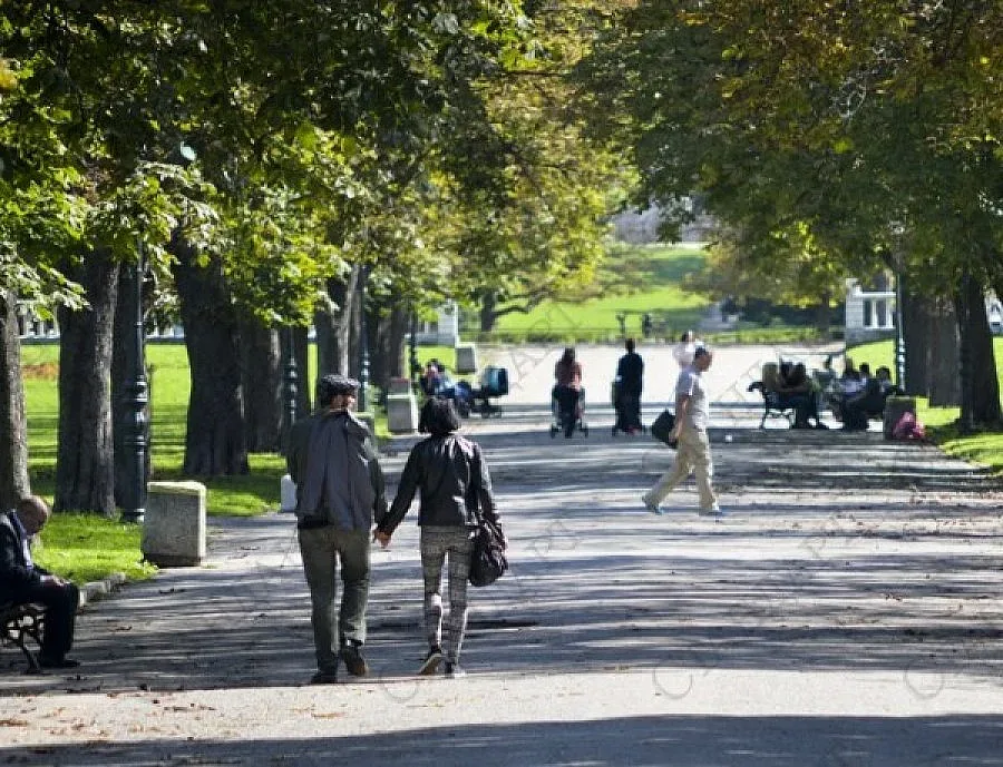 Слънчево в сряда 