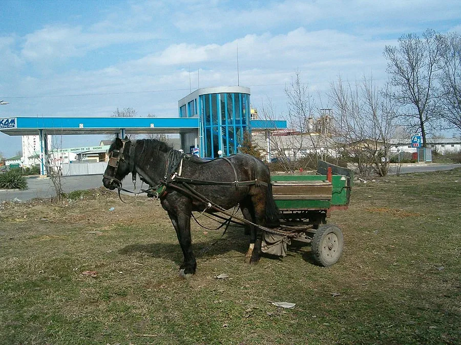 Кон на Е-79 прати двама в болница